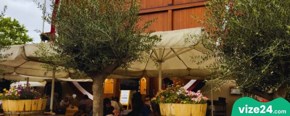 Bad Dürkheim Mannheim yakınları üzüm bağları ve şarap rotası