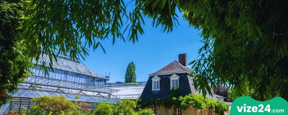 Heidelberg Botanik Bahçesi tropik sera ve egzotik bitkiler