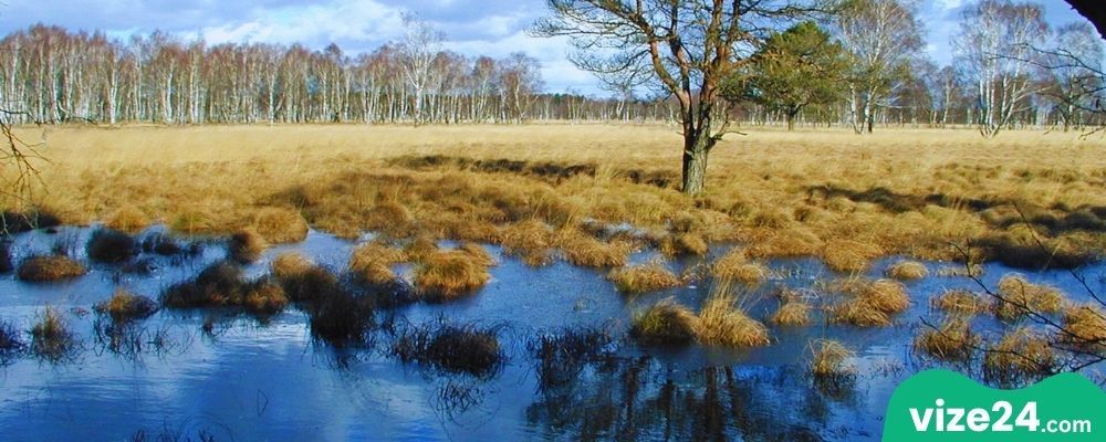 Duvenstedter Brook Hamburg doğal rezerv alanı