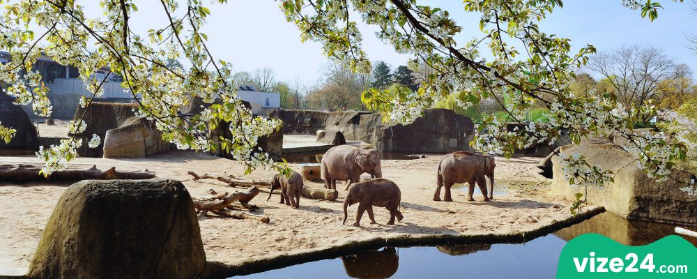 Köln Hayvanat Bahçesi Zoologischer Garten