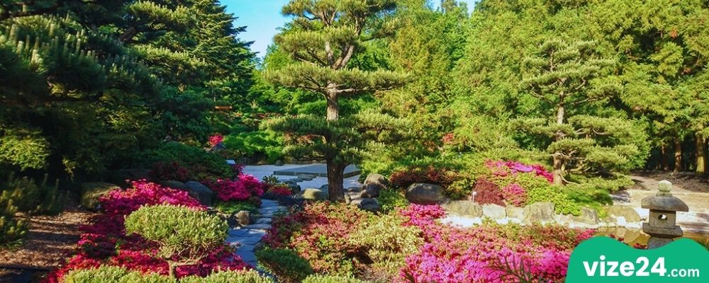 Loki Schmidt Botanik Bahçesi Hamburg