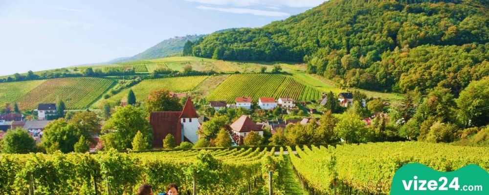 Neustadt an der Weinstraße Mannheim yakınları şarap rotası bağ evleri