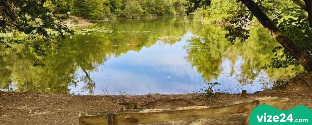 Oberwald Karlsruhe doğa koruma alanı ve orman göleti