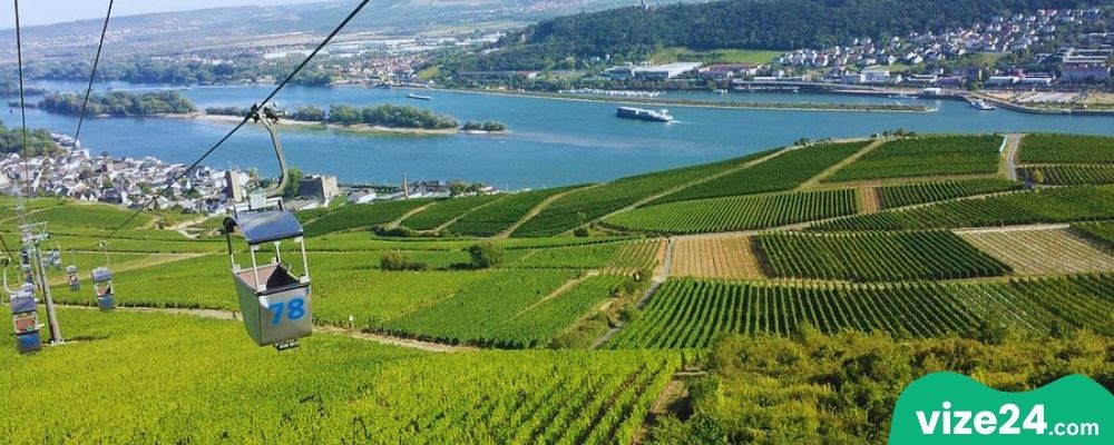 Rüdesheim am Rhein teleferik ve bağ manzarası