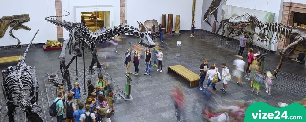 Senckenberg Doğa Tarihi Müzesi Frankfurt