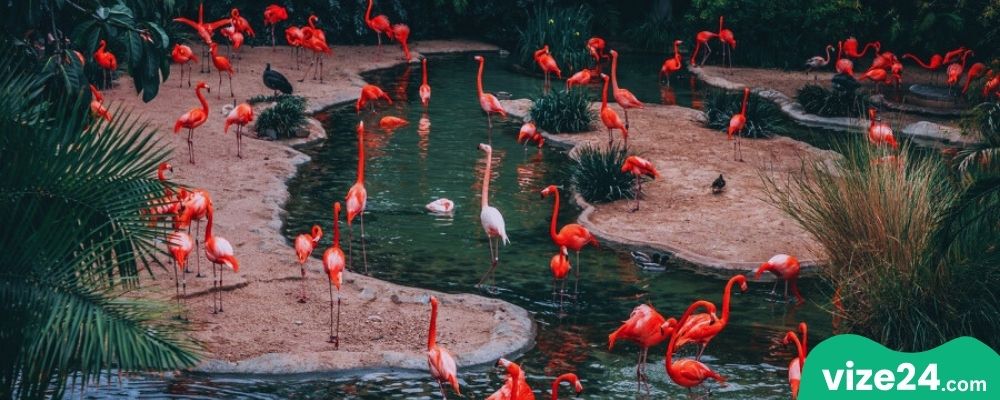 Stadtgarten Karlsruhe parkı gölet ve çiçekli yürüyüş yolu