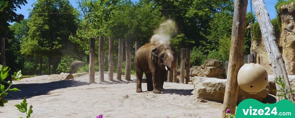 Heidelberg Hayvanat Bahçesi ve Neuenheimer Feld bölgesi